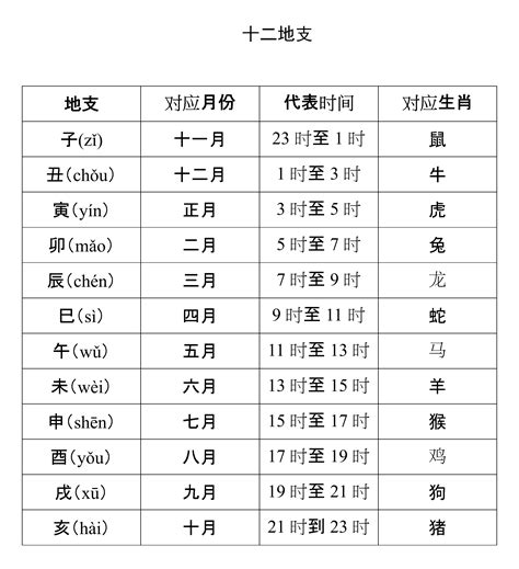 10天干12地支